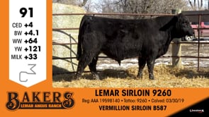 Lot #91 - LEMAR SIRLOIN 9260