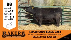 Lot #88 - LEMAR CODE BLACK 9254