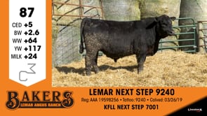 Lot #87 - LEMAR NEXT STEP 9240