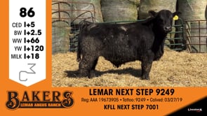 Lot #86 - LEMAR NEXT STEP 9249