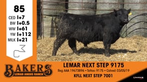 Lot #85 - LEMAR NEXT STEP 9175