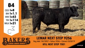 Lot #84 - LEMAR NEXT STEP 9256