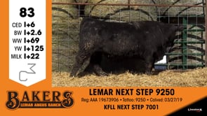 Lot #83 - LEMAR NEXT STEP 9250
