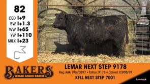 Lot #82 - LEMAR NEXT STEP 9178