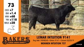 Lot #73 - LEMAR INTUITION 9141