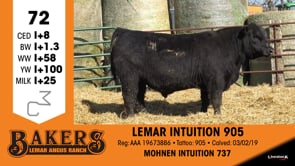 Lot #72 - LEMAR INTUITION 905