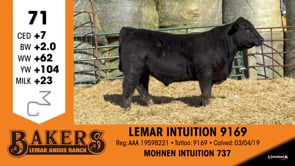 Lot #71 - LEMAR INTUITION 9169