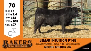 Lot #70 - LEMAR INTUITION 9145