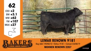 Lot #62 - LEMAR RENOWN 9181