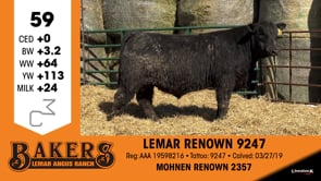 Lot #59 - LEMAR RENOWN 9247