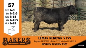 Lot #57 - LEMAR RENOWN 9199
