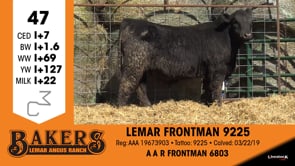 Lot #47 - LEMAR FRONTMAN 9225