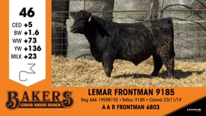 Lot #46 - LEMAR FRONTMAN 9185