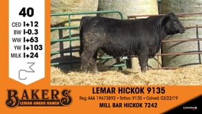 Lot #40 - LEMAR HICKOK 9135