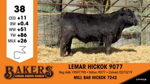 Lot #38 - LEMAR HICKOK 9077
