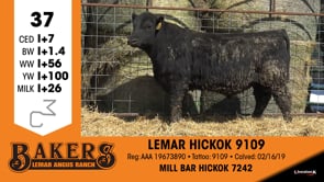 Lot #37 - LEMAR HICKOK 9109