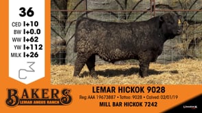 Lot #36 - LEMAR HICKOK 9028
