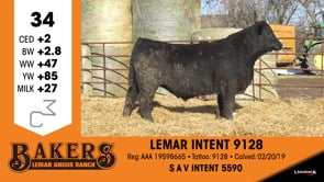 Lot #34 - LEMAR INTENT 9128