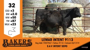 Lot #32 - LEMAR INTENT 9113