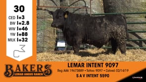 Lot #30 - LEMAR INTENT 9097