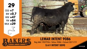 Lot #29 - LEMAR INTENT 9086