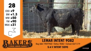 Lot #28 - LEMAR INTENT 9082