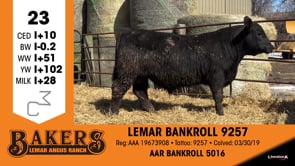 Lot #23 - LEMAR BANKROLL 9257
