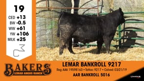 Lot #19 - LEMAR BANKROLL 9217