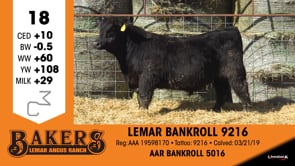 Lot #18 - LEMAR BANKROLL 9216