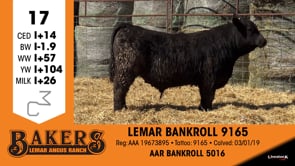 Lot #17 - LEMAR BANKROLL 9165