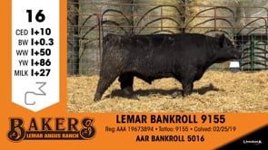 Lot #16 - LEMAR BANKROLL 9155