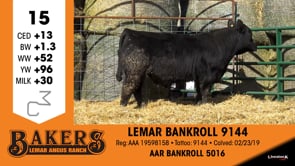 Lot #15 - LEMAR BANKROLL 9144