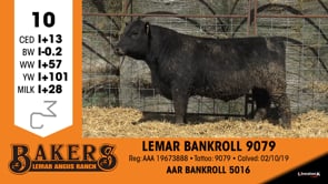 Lot #10 - LEMAR BANKROLL 9079