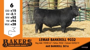 Lot #6 - LEMAR BANKROLL 9032