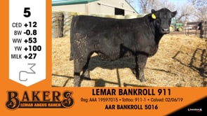 Lot #5 - LEMAR BANKROLL 911