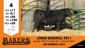 Lot #4 - LEMAR BANKROLL 9011