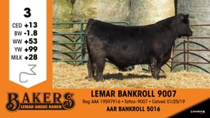 Lot #3 - LEMAR BANKROLL 9007