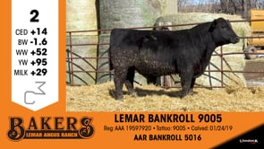 Lot #2 - LEMAR BANKROLL 9005