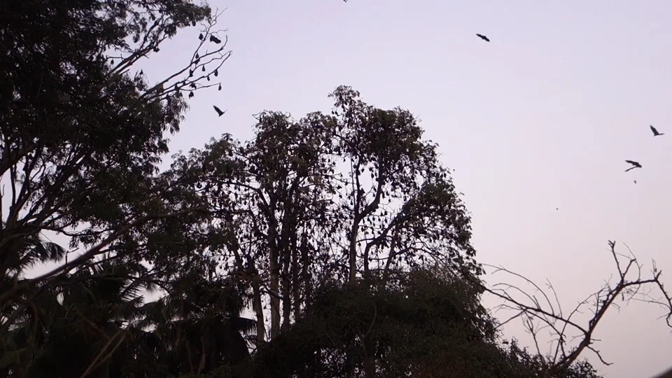 TakeAMinute_12