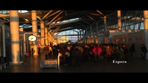 AMIGOS DE LAS FUERZAS ARMADAS ESPA&Ntilde;OLAS