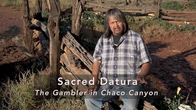 The Gambler in Chaco Canyon