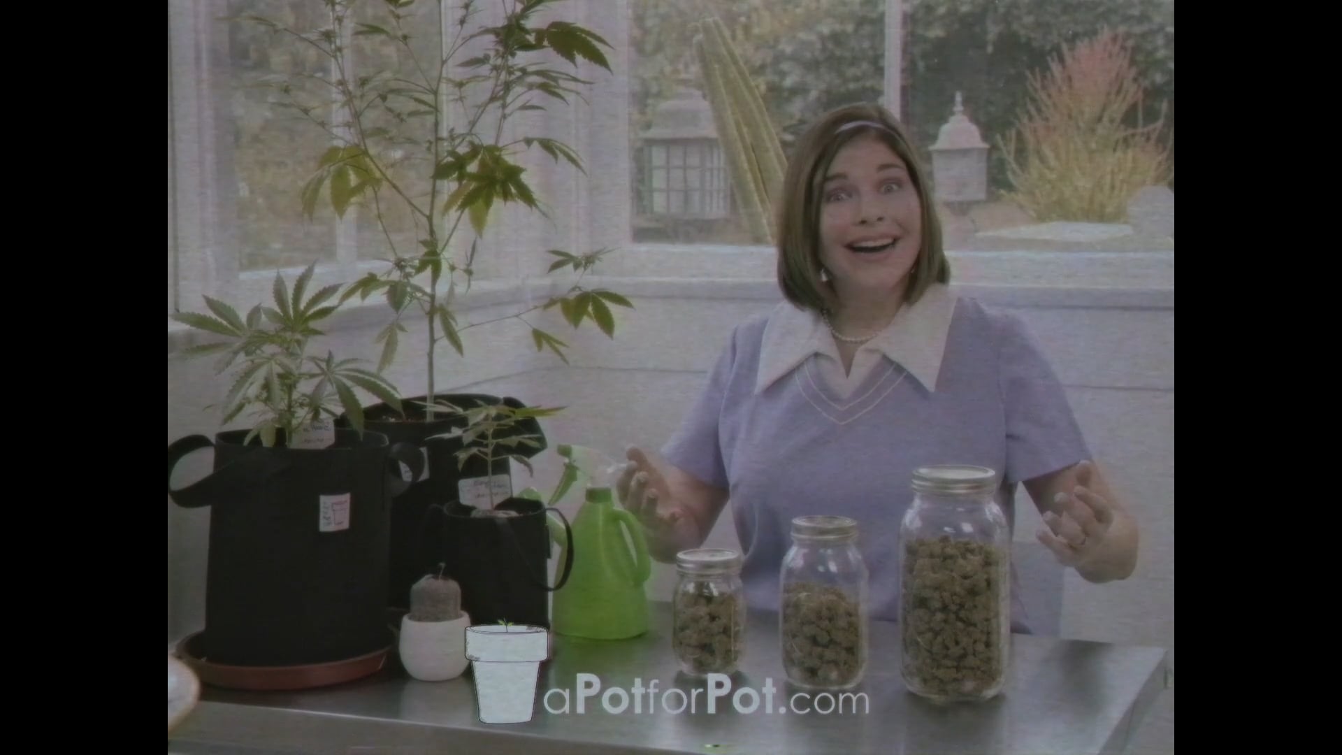 A Pot for Pot