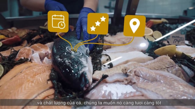 CodeIT and Cermaq (Vietnamese subtitles)