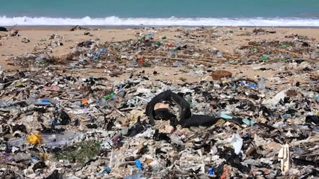 PLASTIC AND SUN