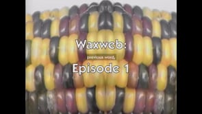 WAXWEB: Episode 1