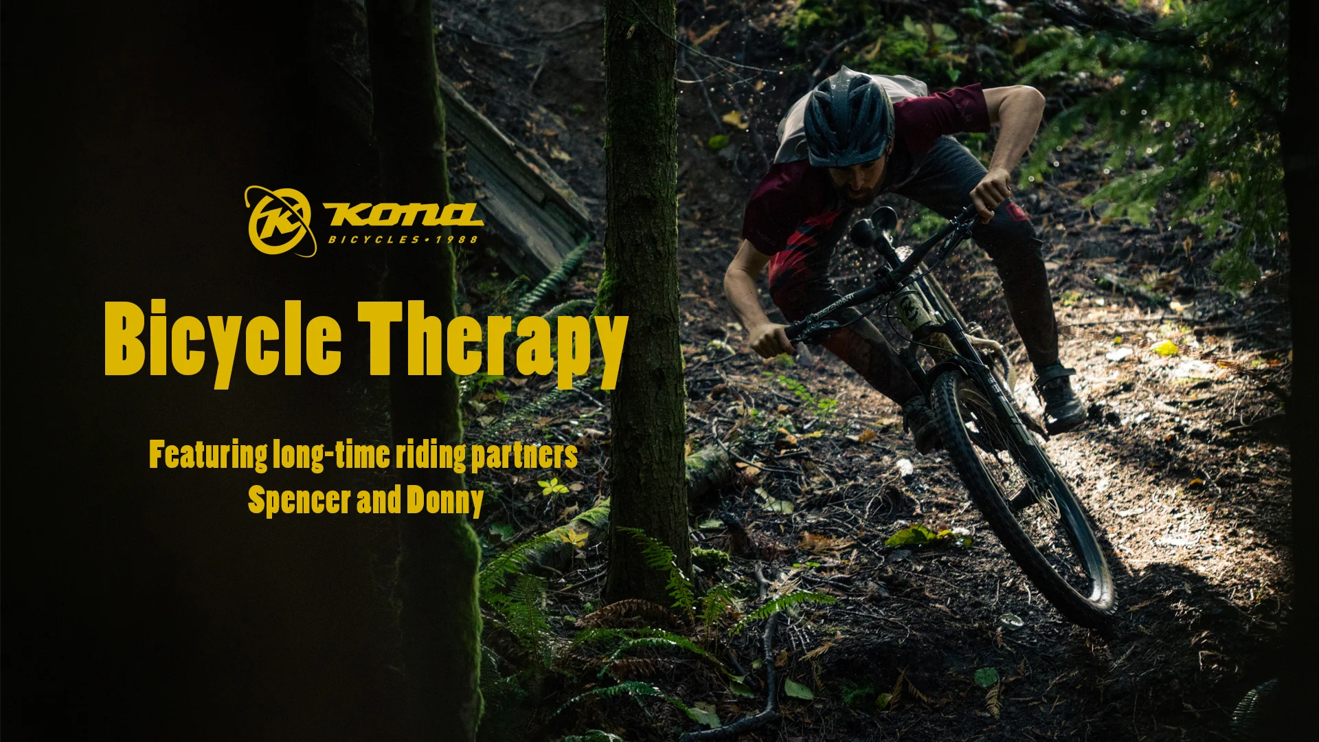 Bicycle therapy store