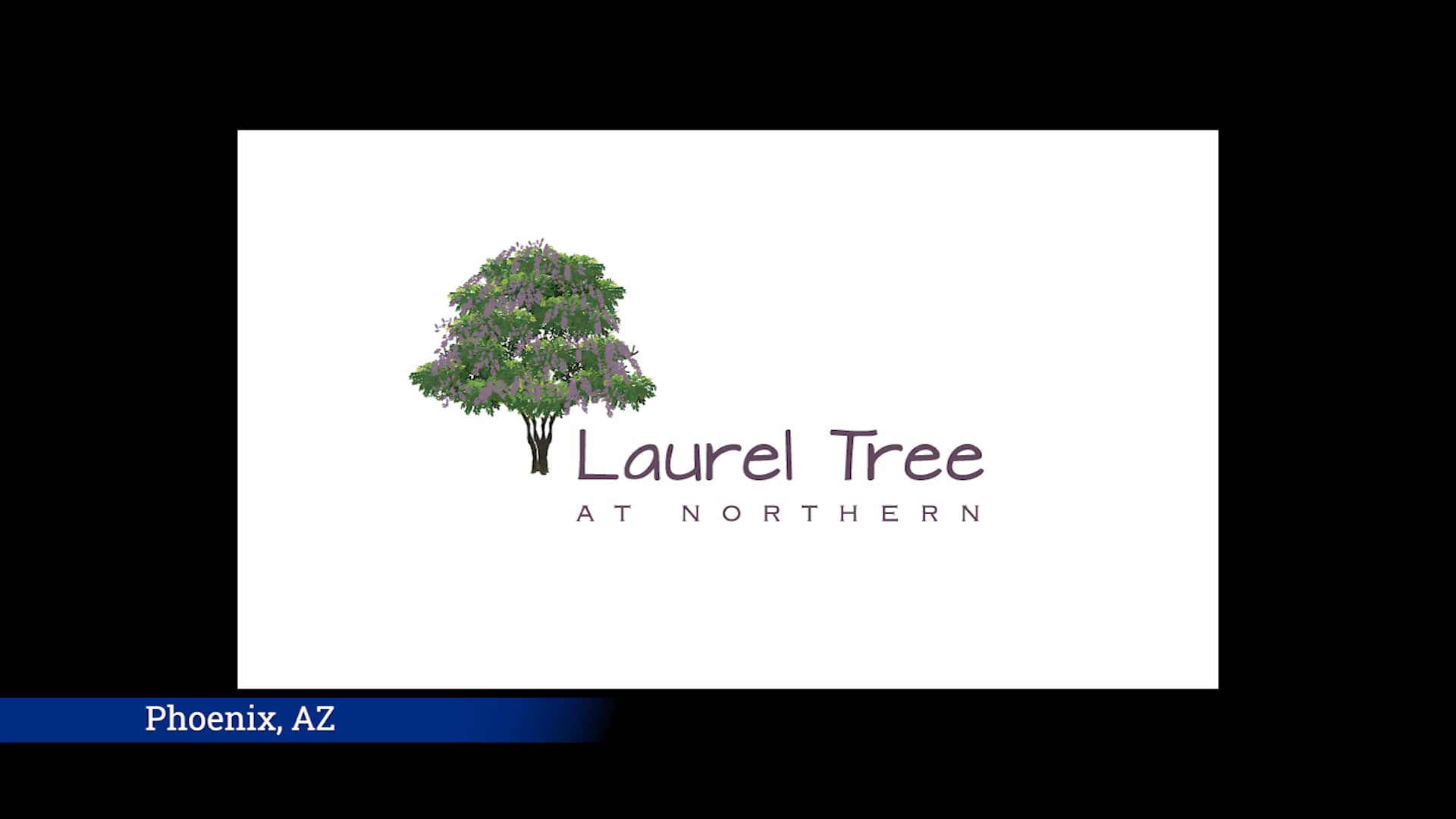 Laurel Tree ApartmentsResident Anthony Chapman on Vimeo