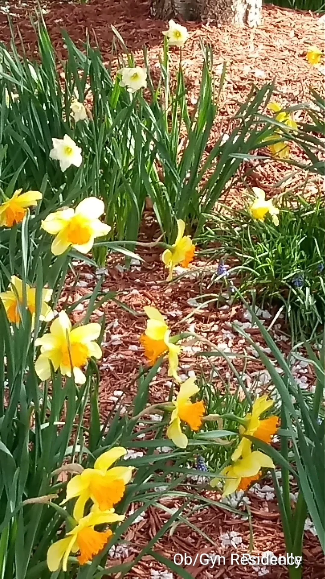 Spring at Riverside on Vimeo