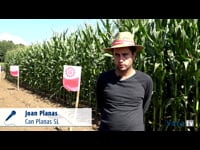 Joan Planas. Can Planas SL (Vilanova de la Muga. Girona)