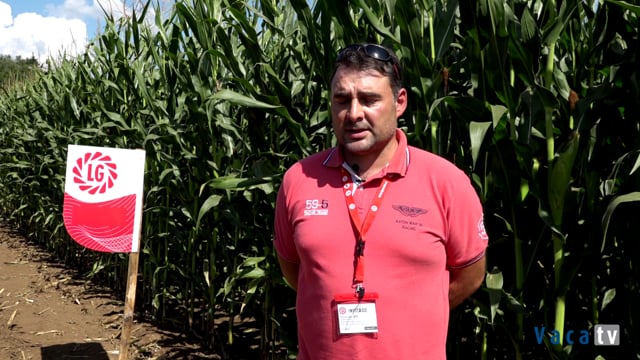 Emilio Fernández. Ganadería La Corona (Gozón. Asturias)